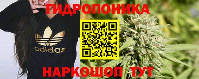индика Пыть-Ях