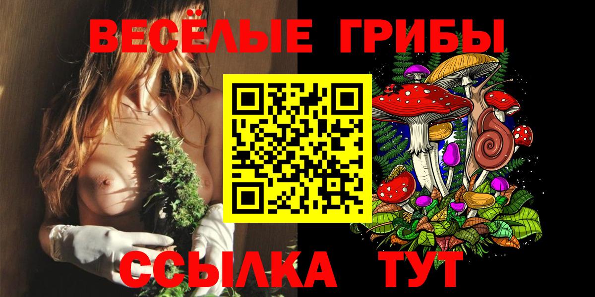 Сокол  Галлюциногенные грибы Psilocybe  Вход с VPN 